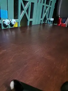 bigdickdaddy2184 online show from 12/16/25, 09:35