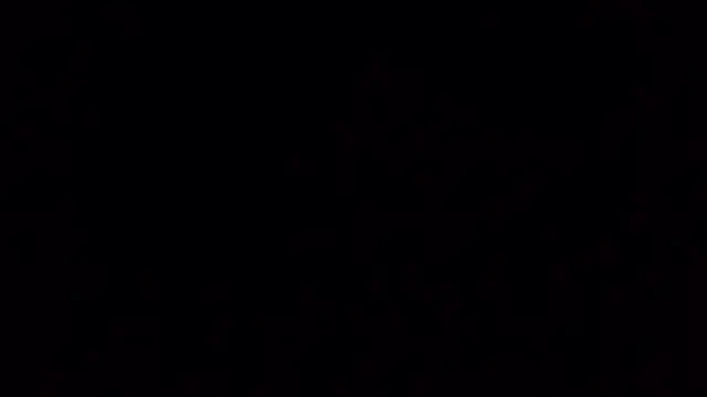 Ken-boy  online show from 10/20/25, 11:44