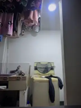 Emiily lee online show from 04/01/26, 10:27