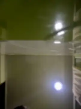 Emiily lee online show from 04/14/26, 09:25