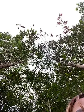 Sofia xx2 online show from 02/02/25, 09:18