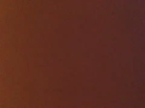 loveofbea online show from 01/02/25, 12:34