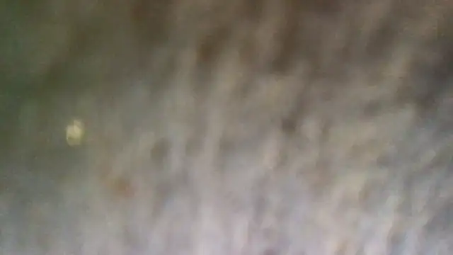 loveofbea online show from 07/24/26, 10:11