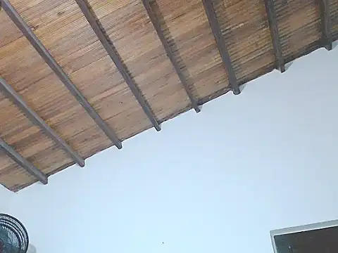 Snapshot of tifany19_ chatting on 09/12/25, 04:01 tifany19  online show from 09/12/25, 04:01