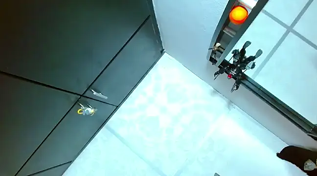 Michaell Myerss  online show from 02/25/25, 09:48