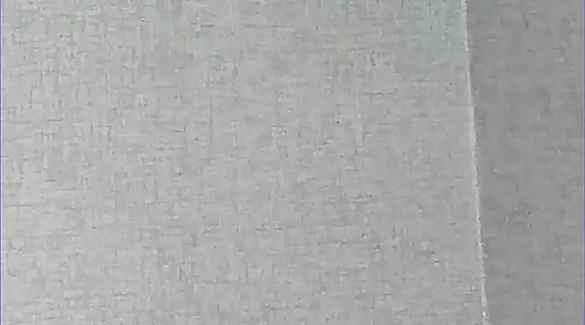 Snapshot of Ricardogo19 chatting on 03/01/25, 01:43 Ricardogo19 online show from 03/01/25, 01:43