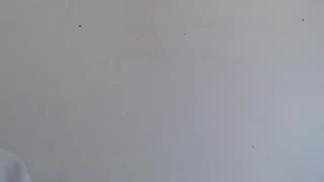 Snapshot of Niurca01_ chatting on 10/16/25, 04:48 Niurca01 online show from 10/16/25, 04:48