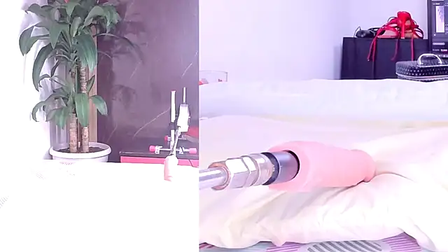 Sophia Lovers01 online show from 03/02/26, 08:38