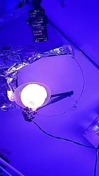 gurlnips online show from 09/26/25, 10:00