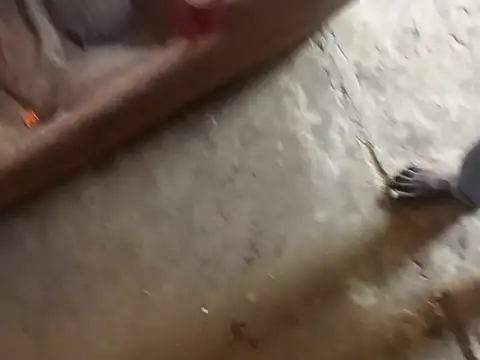 Tshidiso7 online show from 01/12/26, 12:12