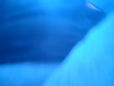 ILUV2TUCHMYKITTY online show from 11/18/25, 06:55