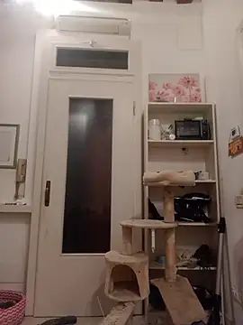 Snapshot of fattone95 chatting on 12/19/25, 08:55 fattone95 online show from 12/19/25, 08:55