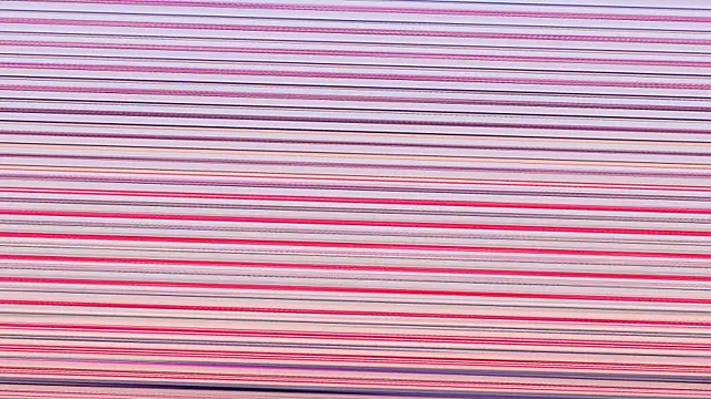 Annieefoxx online show from 11/07/25, 02:54