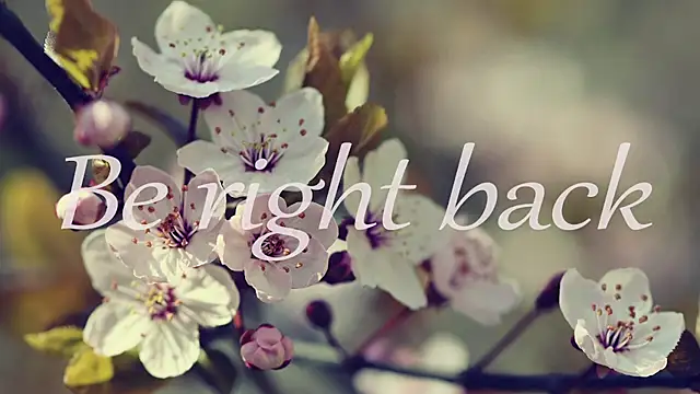 1lindsey1 online show from 04/15/26, 08:53