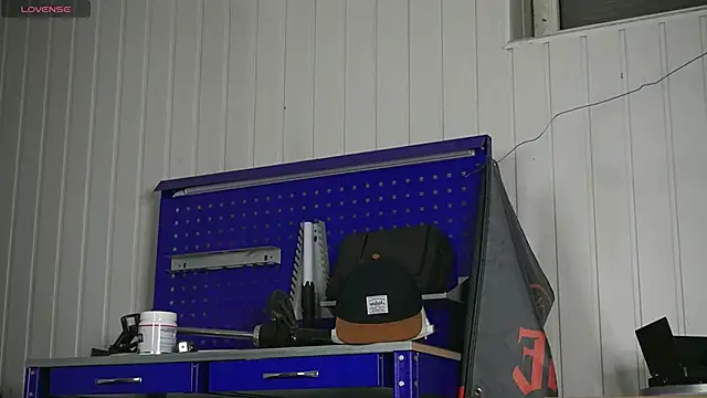 dustyn fox online show from 10/17/25, 04:42