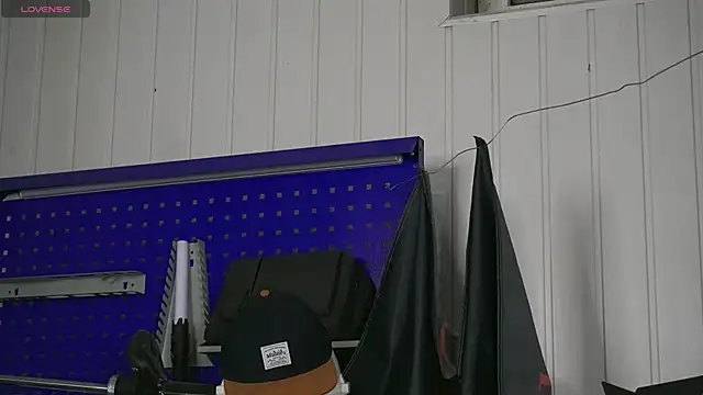 dustyn fox online show from 11/01/25, 03:39