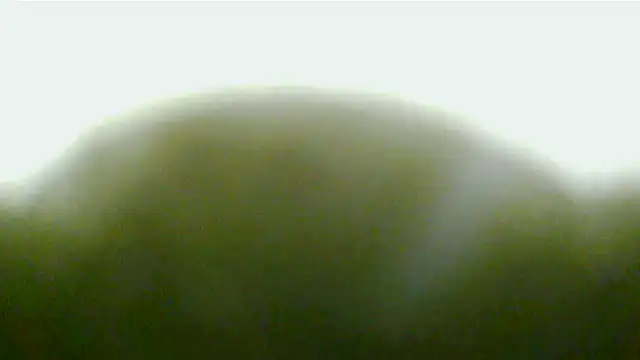 Jennys room 77 online show from 11/16/25, 12:04