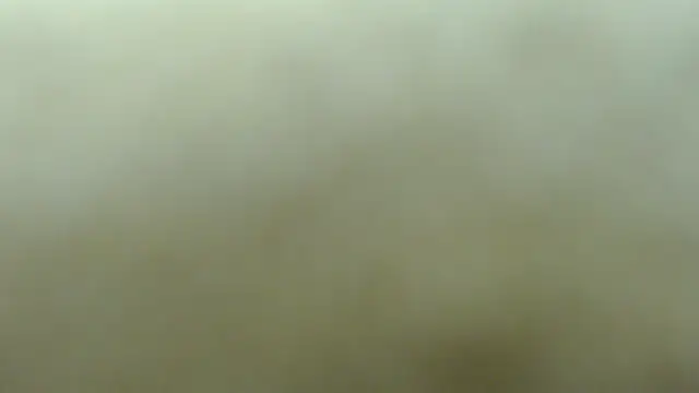 lakeeza online show from 11/08/25, 06:00