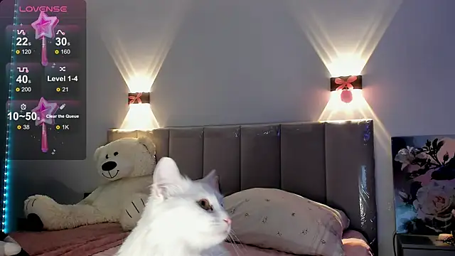 diana nier online show from 09/08/25, 07:35