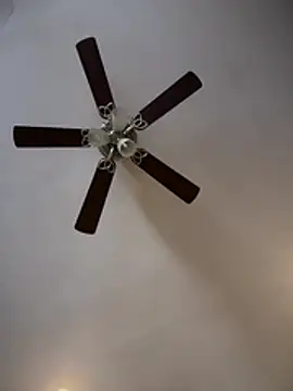 ThicBunz online show from 02/09/26, 02:15