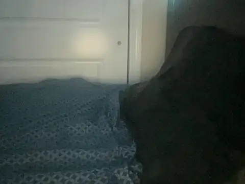 Snapshot of Bobbythehunk_ chatting on 05/19/26, 06:31 Bobbythehunk online show from 05/19/26, 06:31