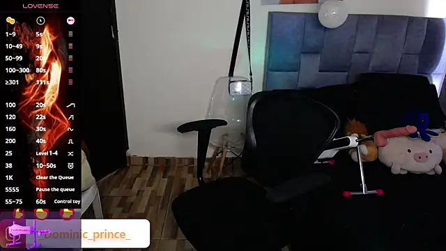 DominicPrince online show from 11/24/25, 07:03