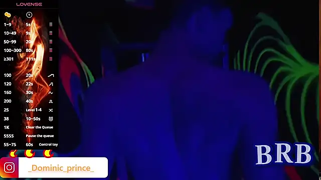DominicPrince online show from 11/15/25, 03:21
