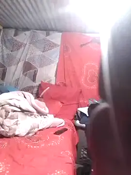 DigCrok online show from 12/08/24, 09:19