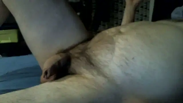 Snapshot of BHOT12 chatting on 07/01/26, 08:53 BHOT12 online show from 07/01/26, 08:53