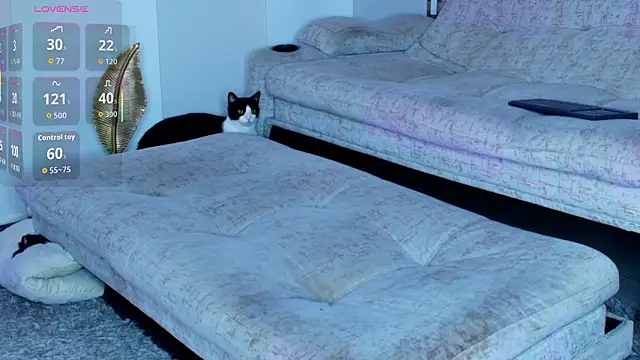 zaiin diesel online show from 03/31/26, 09:55