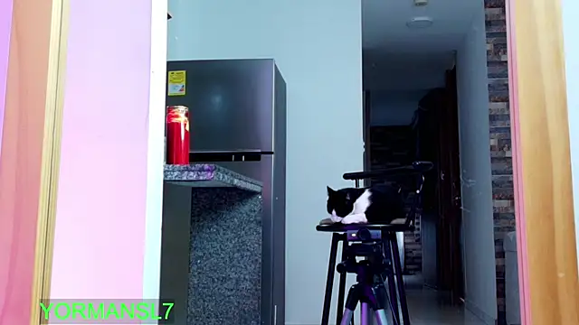 Snapshot of zaiin_diesel chatting on 11/26/25, 11:43 zaiin diesel online show from 11/26/25, 11:43