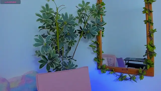 ShegoBlake online show from 03/09/26, 12:47