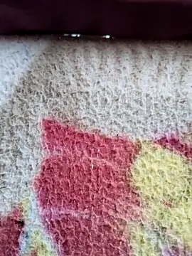 Snapshot of MAN_MOHINI_21 chatting on 03/12/25, 06:07 MAN MOHINI 21 online show from 03/12/25, 06:07