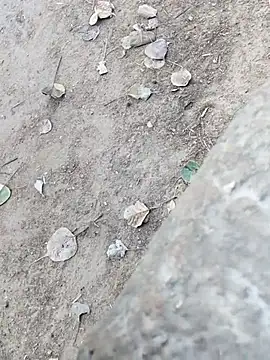 Snapshot of MAN_MOHINI_21 chatting on 02/22/26, 09:44 MAN MOHINI 21 online show from 02/22/26, 09:44