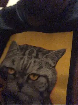 Jasontv56 online show from 12/17/25, 02:05