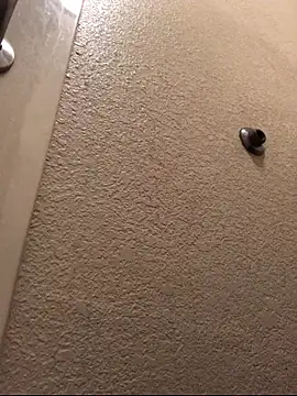 Jasontv56 online show from 11/13/25, 12:31