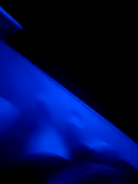 Snapshot of red_red00 chatting on 03/13/25, 11:16 red red00 online show from 03/13/25, 11:16