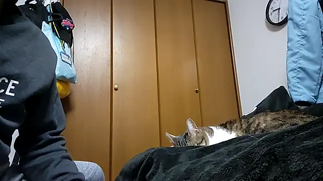 Snapshot of 07YUKIO chatting on 04/04/26, 12:34 07YUKIO online show from 04/04/26, 12:34