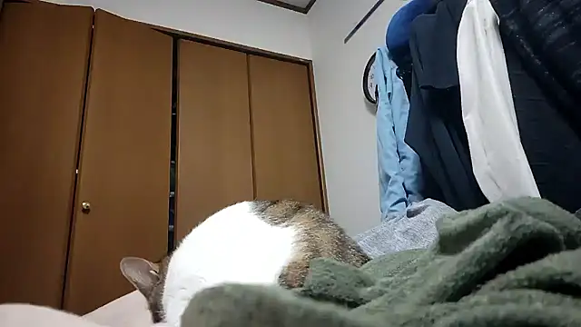 07YUKIO online show from 04/24/26, 09:22