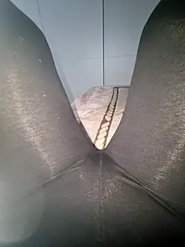 Snapshot of _tasechka_ chatting on 01/30/25, 05:49 tasechka online show from 01/30/25, 05:49