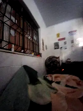 Zenfox24 online show from 02/20/26, 12:29