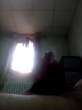 hbo54 online show from 03/15/26, 02:24