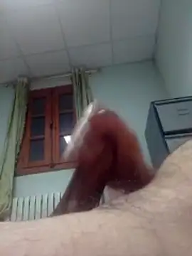 hbo54 online show from 03/03/26, 08:38