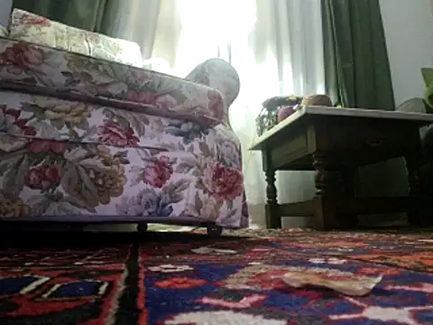 stavroun online show from 11/06/25, 11:20