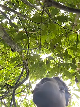 Snapshot of Andricastro chatting on 11/10/25, 01:49 Andricastro online show from 11/10/25, 01:49