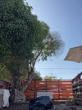 Snapshot of Andricastro chatting on 02/23/25, 01:42 Andricastro online show from 02/23/25, 01:42