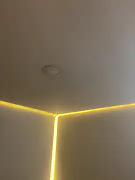 AmmyCollinsW online show from 03/16/26, 09:06