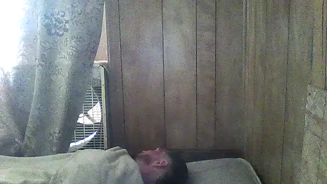 luke thighwalker2469 online show from 03/05/26, 05:20