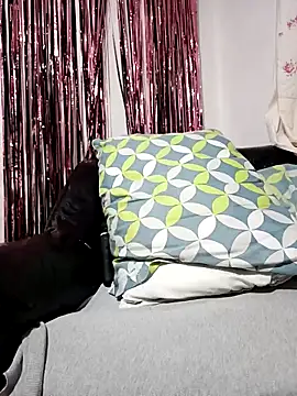 Joagorditahot online show from 11/08/25, 11:30