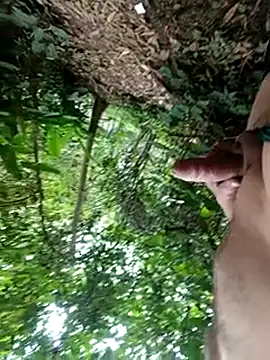 mis312 online show from 12/16/25, 01:15